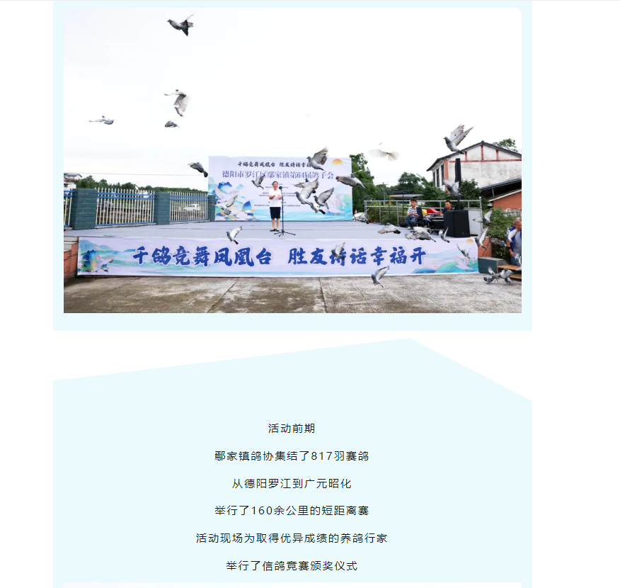 鸽子会3.png